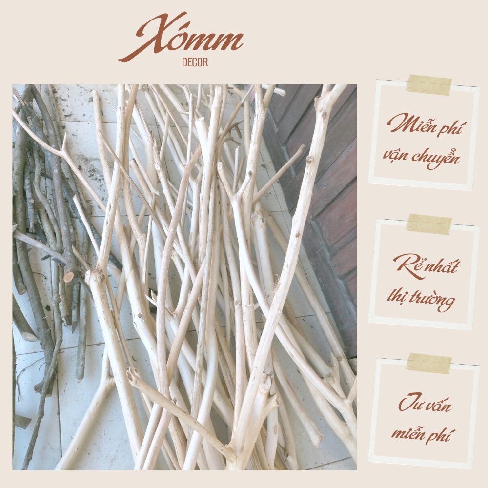 Cành gỗ tự nhiên làm Macrame, thanh treo rèm, quần áo ,trang trí Decor