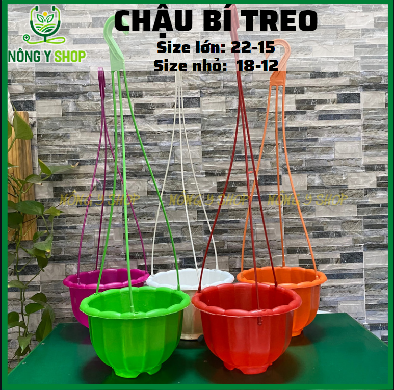 Chậu bí treo, chậu bí nhiều màu, kèm dây treo, chậu trồng hoa, chậu treo cây cảnh