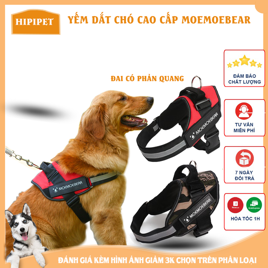 Combo dây dắt và yếm cho chó Moemoebear vải Oxford phản quang cao cấp