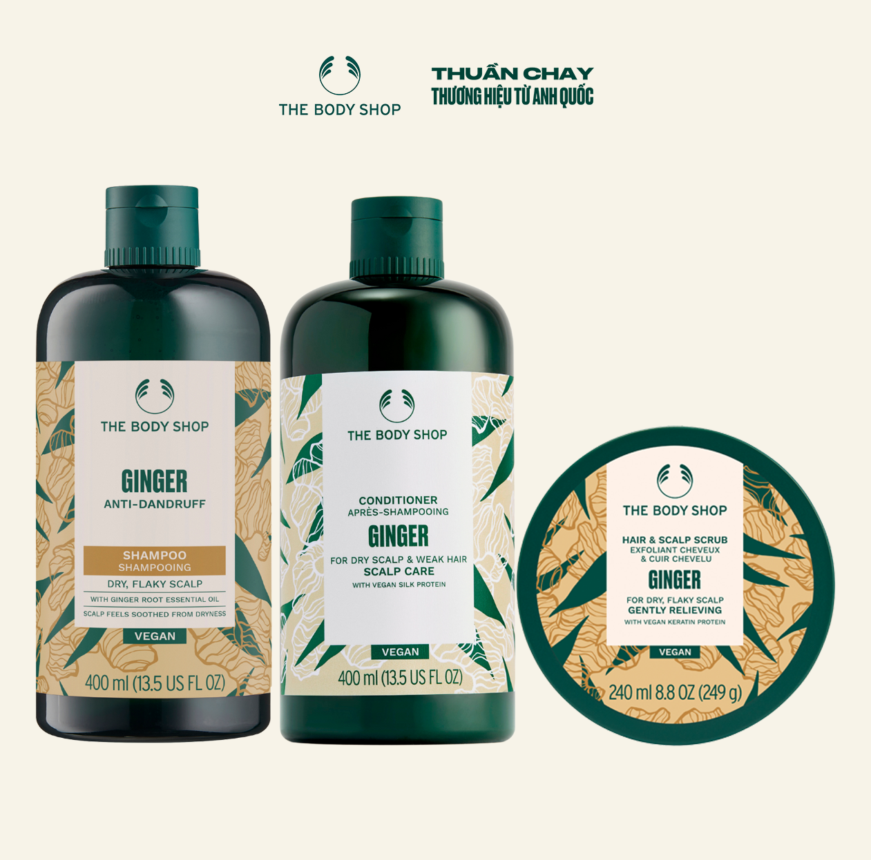 Combo tẩy tế bào chết đầu gừng 240ml & dầu gội 400ml & dầu xả gừng 400ml ginger scalp care the body shop