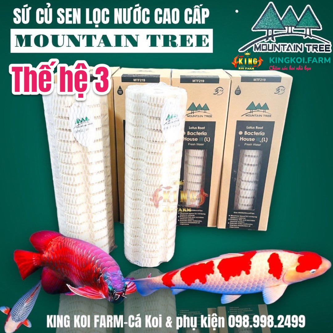 Sứ củ sen mountain tree thế hệ 3 - sứ lọc nước cao cấp tạo vi sinhdành cho cá koi cá rồng