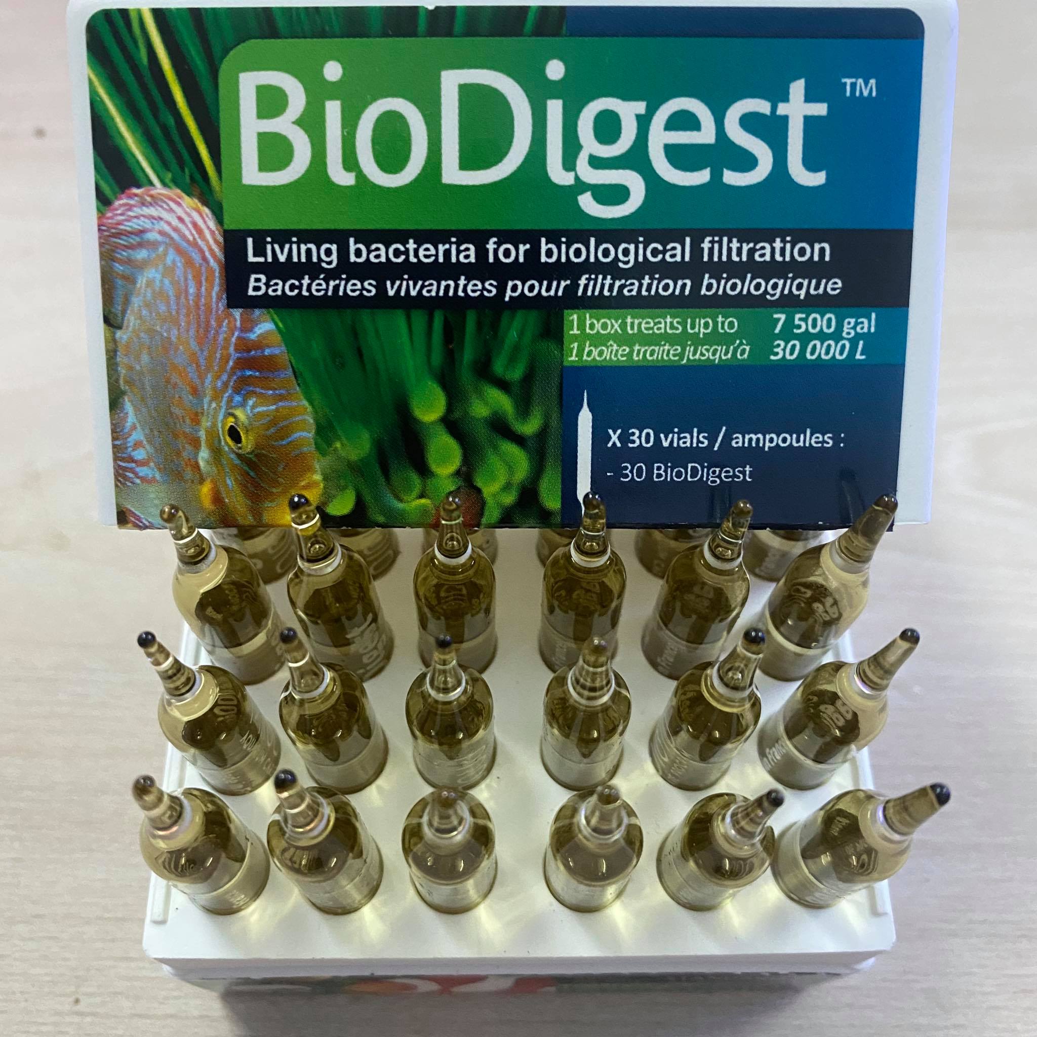 Bio Digest Bổ sung vi sinh sống , giúp tạo hệ vi sinh cho hồ cá nước mặn và nước ngọt
