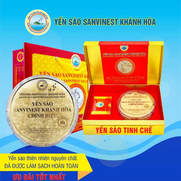 Yến sào cao cấp tinh chế Hộp 100G yến sào Khánh Hòa Sanvinest đã được làm sạch hoàn toàn từ tổ yến thô nguyên chất