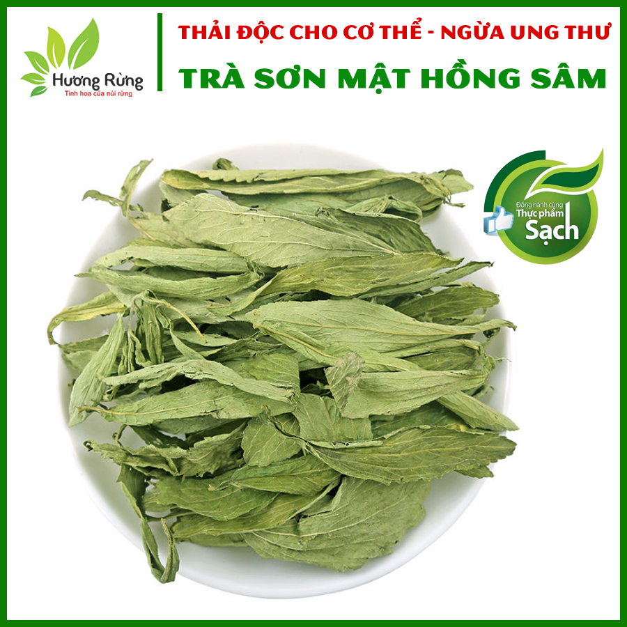 [HCM][LOẠI THƯỢNG HẠNG] CỎ NGỌT NGUYÊN LÁ 500g, tốt cho người tiểu đường béo phì hạ huyết áp - Đặc Sản Hương Rừng
