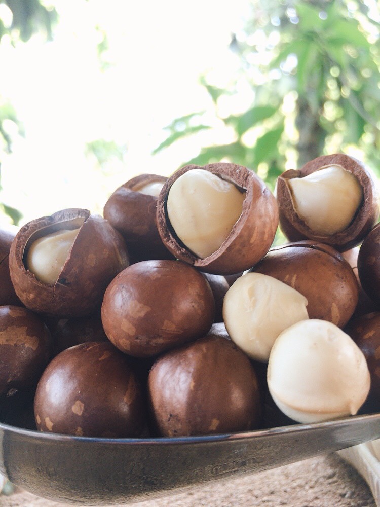 Hạt macca daklak loại nhỏ 500g-có ATVSTP- đã sấy nứt ăn ngay