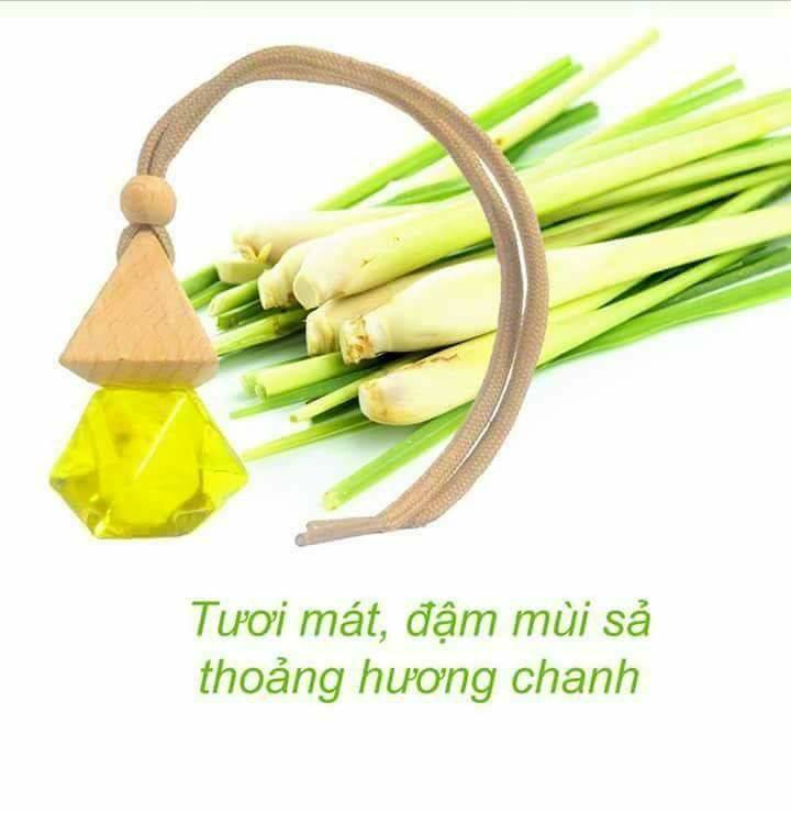 Tinh dầu thơm treo xe , treo phòng hương Sả Chanh