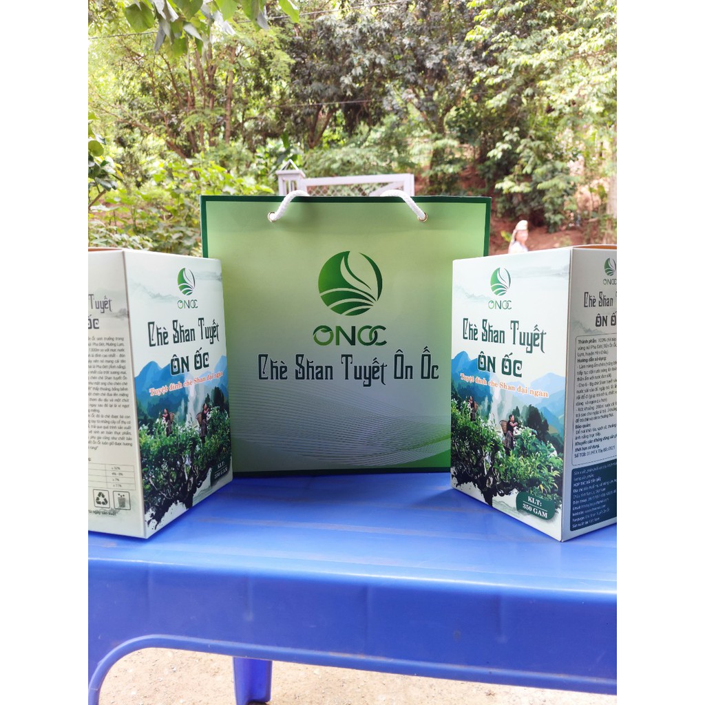 Chè shan tuyết cổ thụ ôn ốc