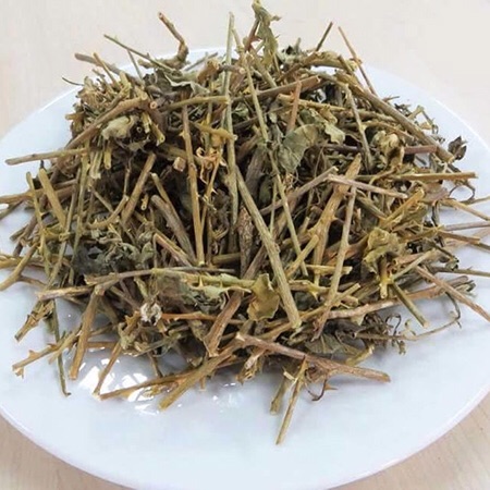 1kg cà gai leo