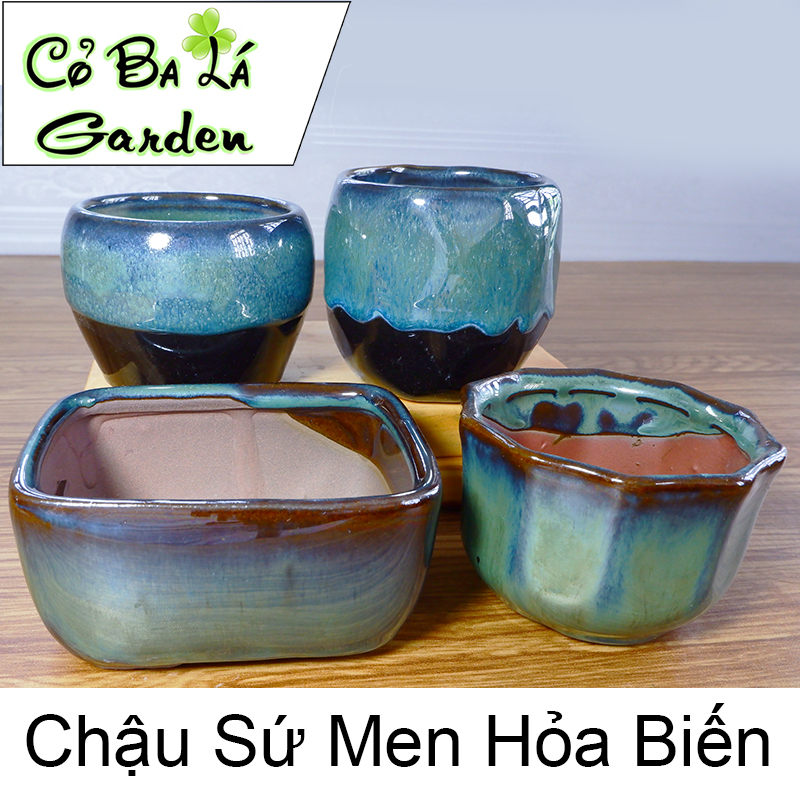 Chậu sứ trồng cây Hình Chữ Nhật-oval mini hỏa biến