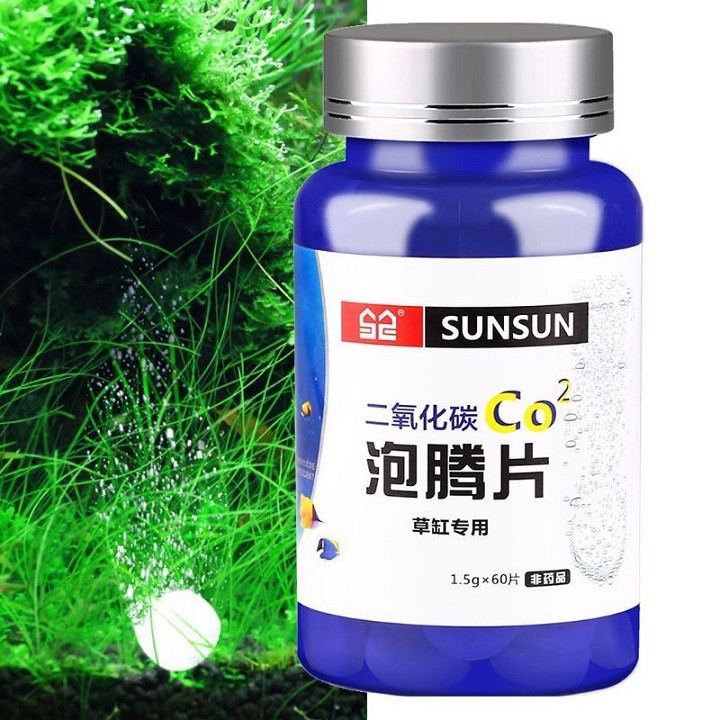Viên sủi Co2 hộp 60v- Viên nén Co2 cho thủy sinh