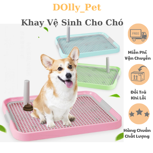 Khay vệ sinh cho chó - khay đi vệ sinh cho chó size 50*37 - phù hợp cho chó dưới 10 ký