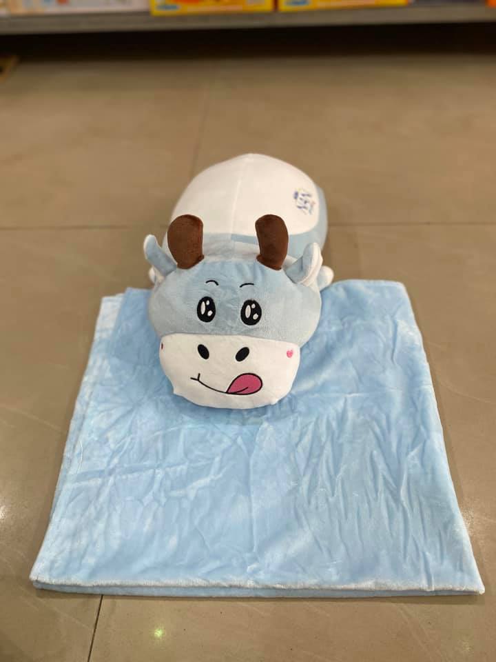 Bộ mền gối trâu - hàng tặng từ sữa nan