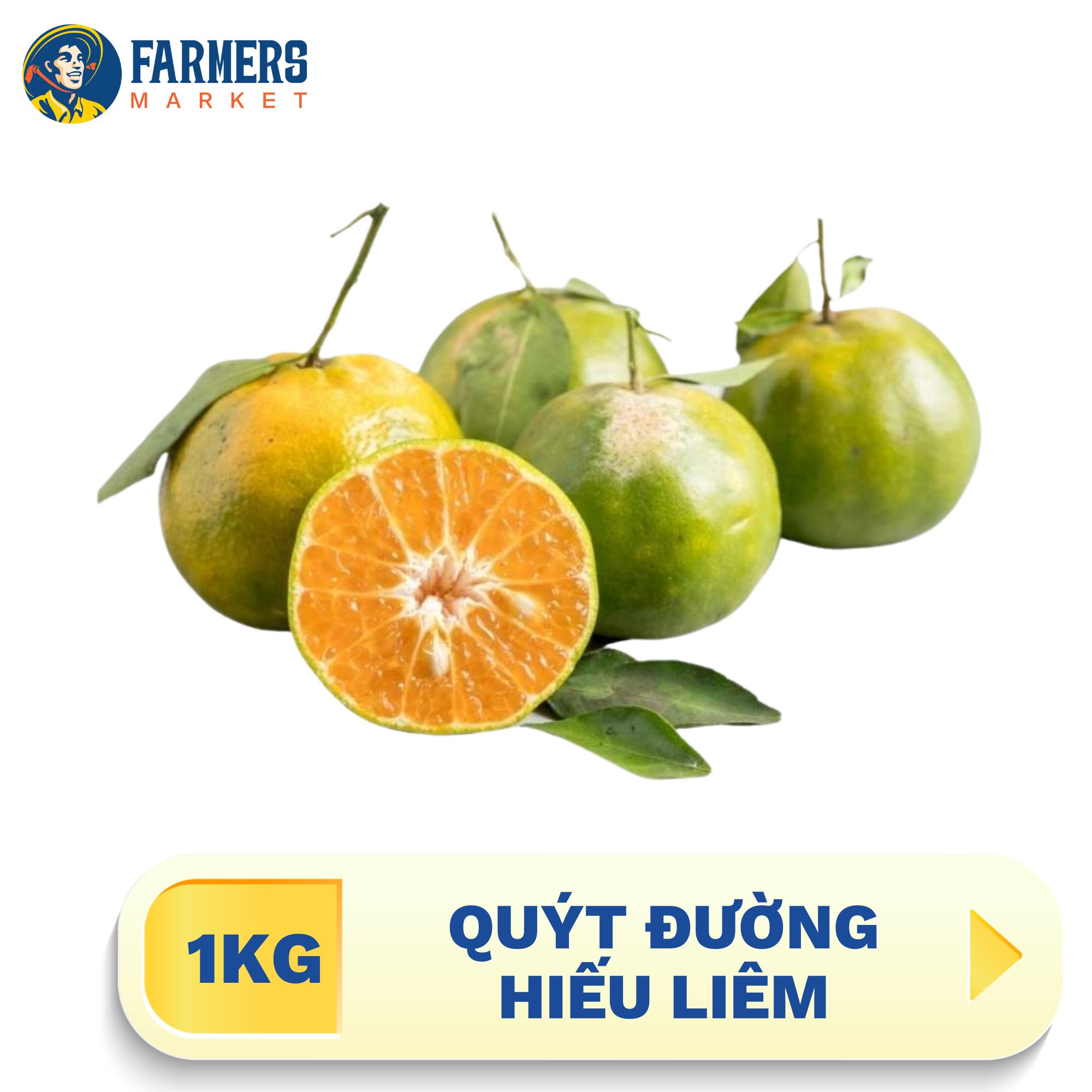 [Chỉ giao nội thành HCM] Quýt đường Hiếu Liêm (1KG) - Vị ngọt, ít xơ, nhiều nước