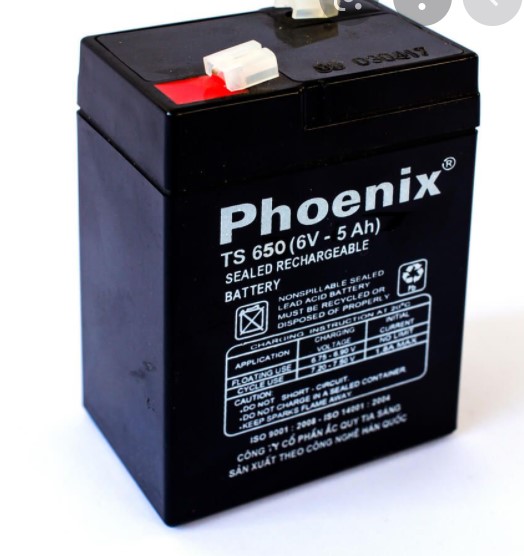 [HCM]Ắc quy Phoenix 6V 5Ah TS650