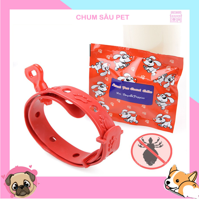 Sích chó siêu dẽ thương mèo và cún / và can xi chó