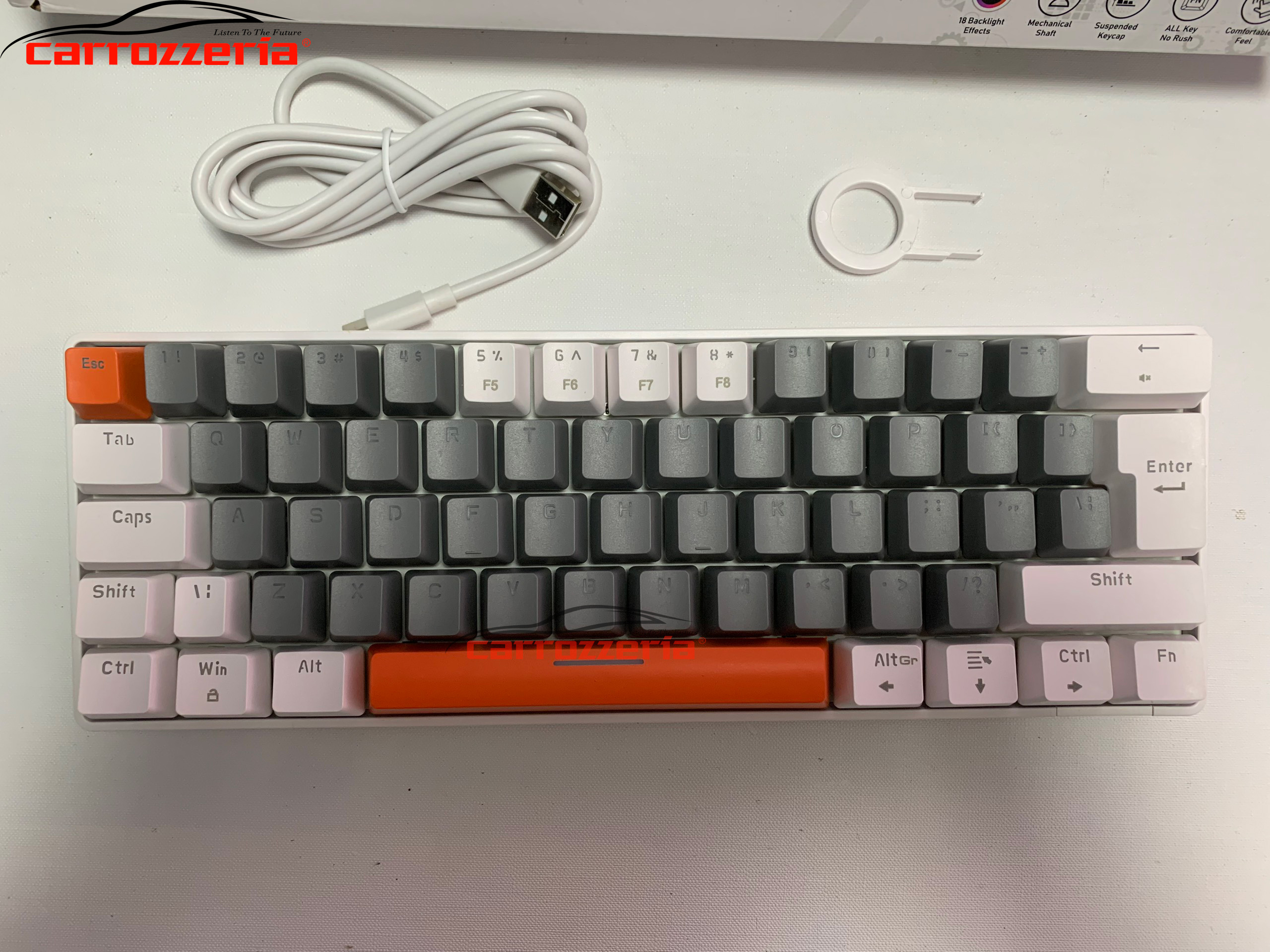 Bàn phím cơ mini ziyou lang t60 có đèn rgb 62 phím có dây type c red switch blue switch
