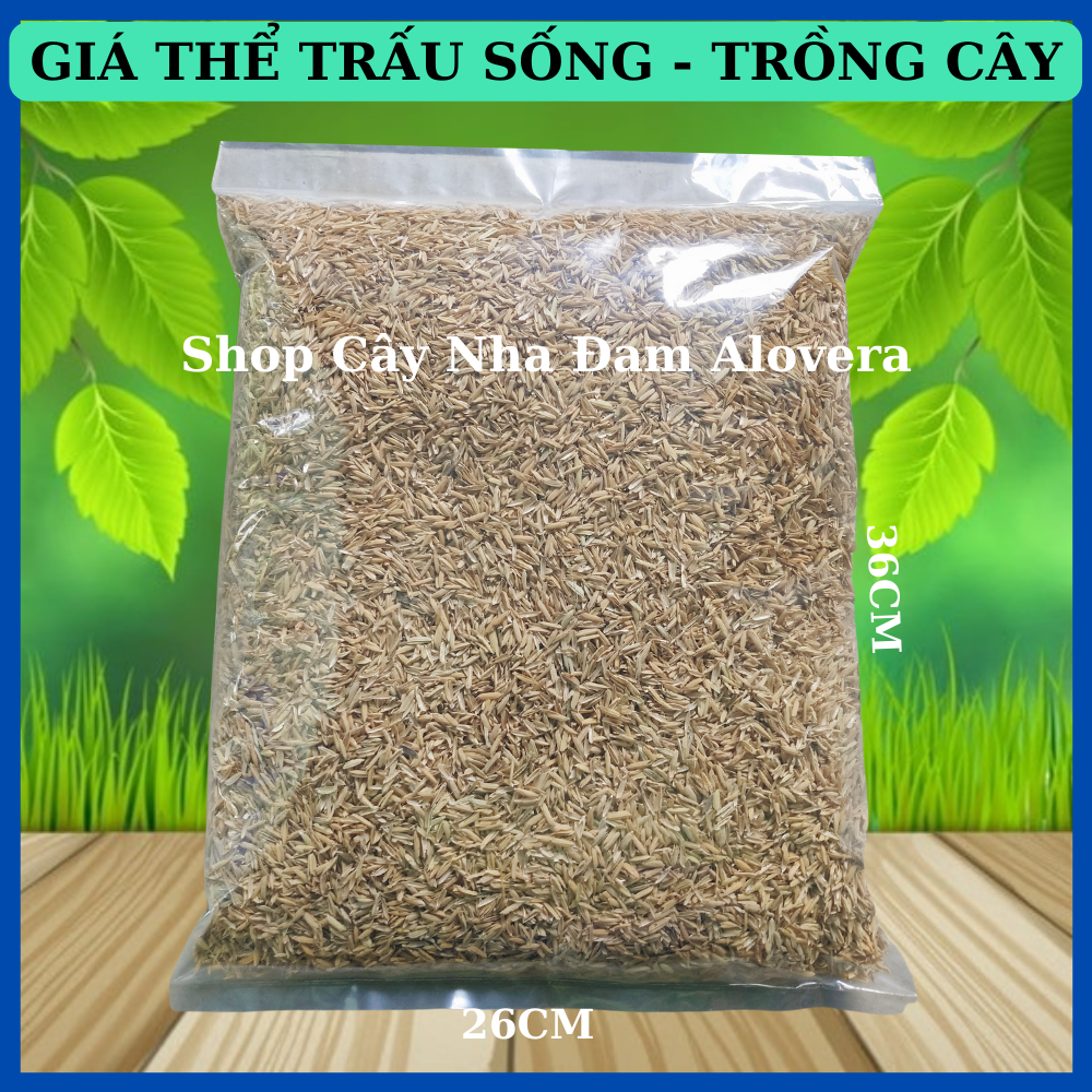 Vỏ trấu - vỏ lúa trồng cây rau sạch