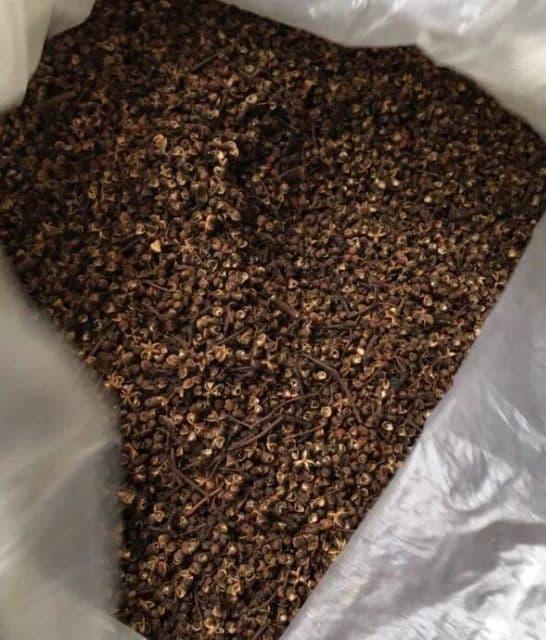 hạt mắc kén tây bắc 1kg