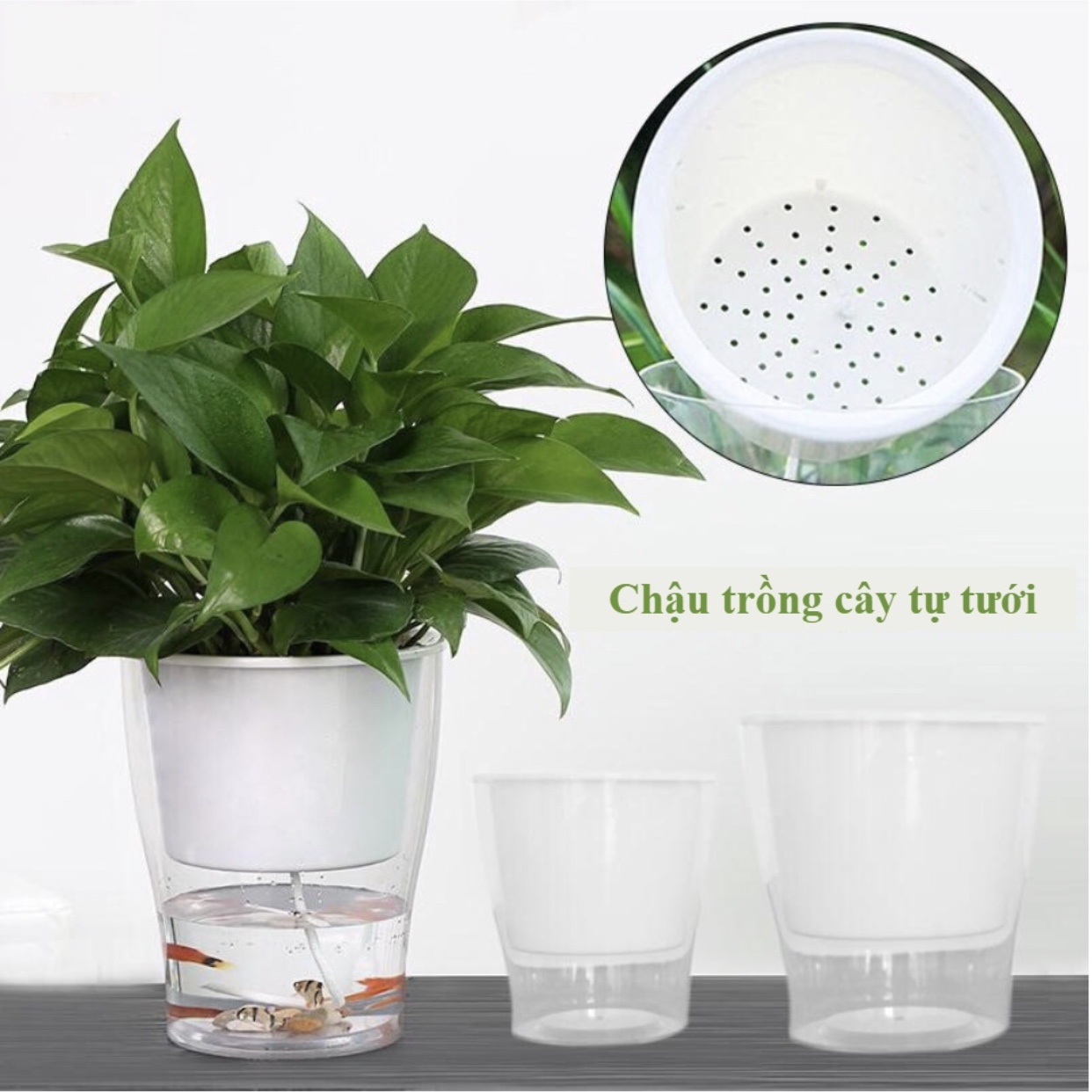 Chậu trồng cây 2 lớp tự tưới FL-W359