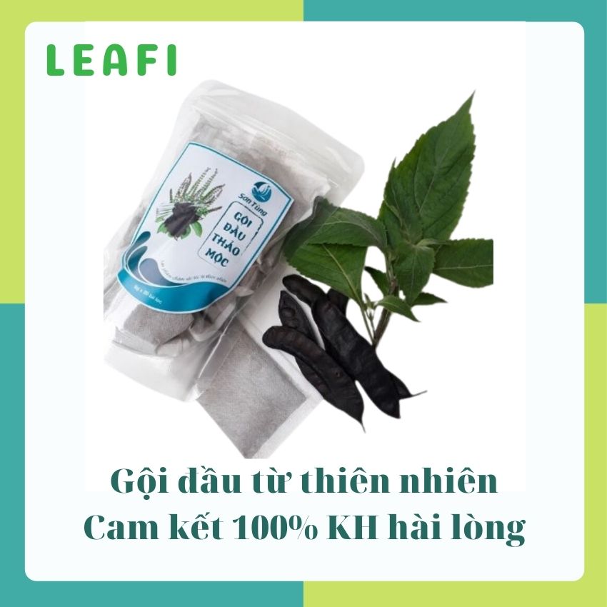 Dầu gội đầu bồ kết thảo mộc sơn dung, combo 03 hộp 60 túi lọc, gđ03, 100% tự nhiên sạch gàu hết ngứa sảng khoái thư giãn giảm đau đầu cảm cúm, tặng thảo mộc xông mặt giá 30k
