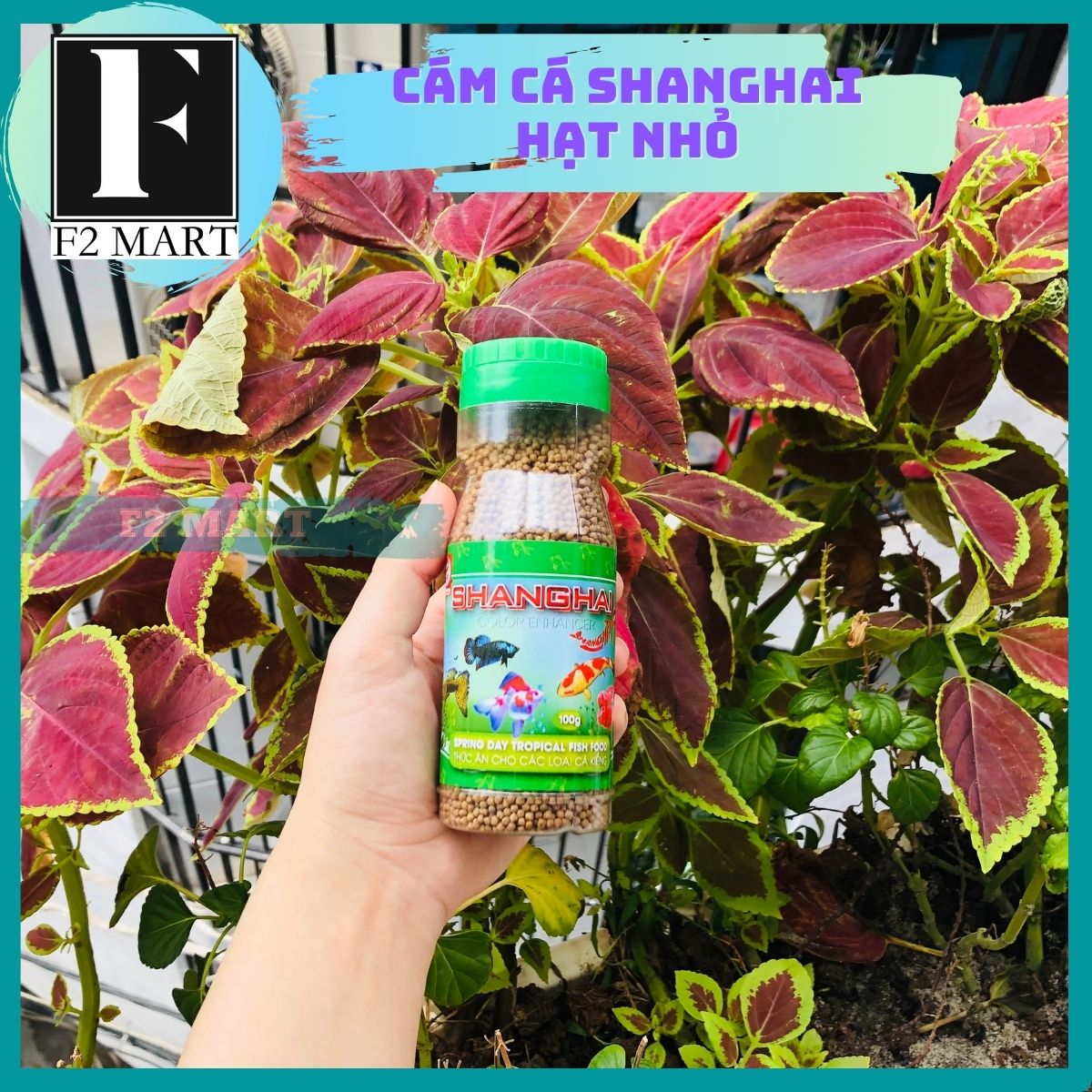 Thức ăn cá cảnh shanghai | cám cá shanghai hạt nhỏ lọ 100gr