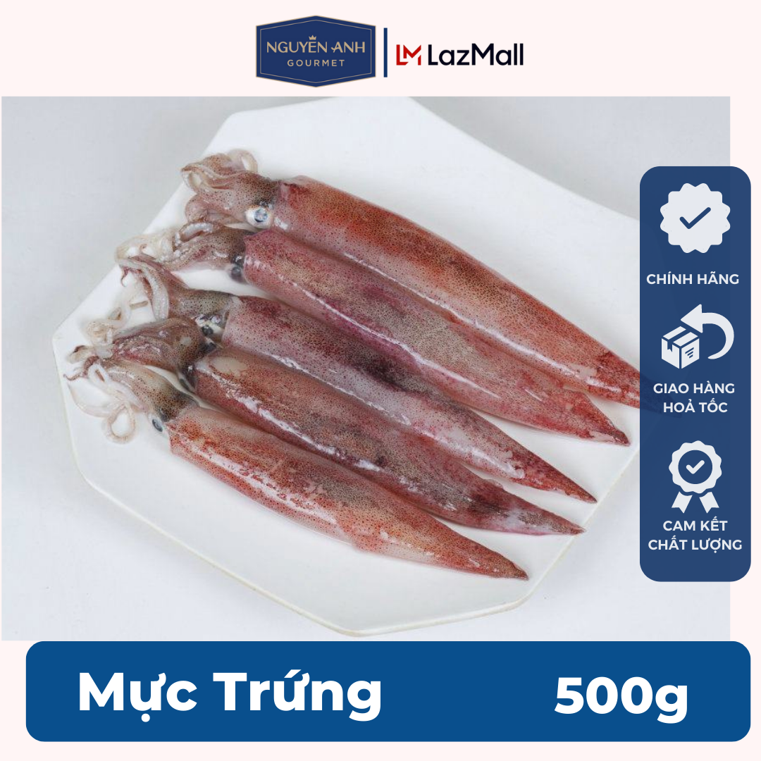 Mực trứng Nguyên Anh đặc sản Phú Quốc hải sản tươi sống như cá, tôm tươi, mực tươi loại 500gr Hải Sản Nguyên Anh.
