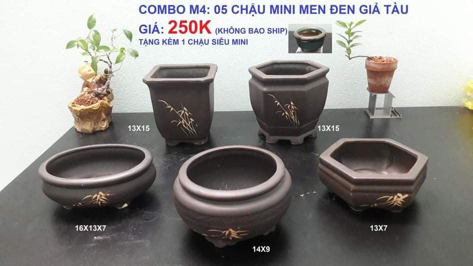 Chậu Mini men đen giả Tàu ( Combo x 5 )