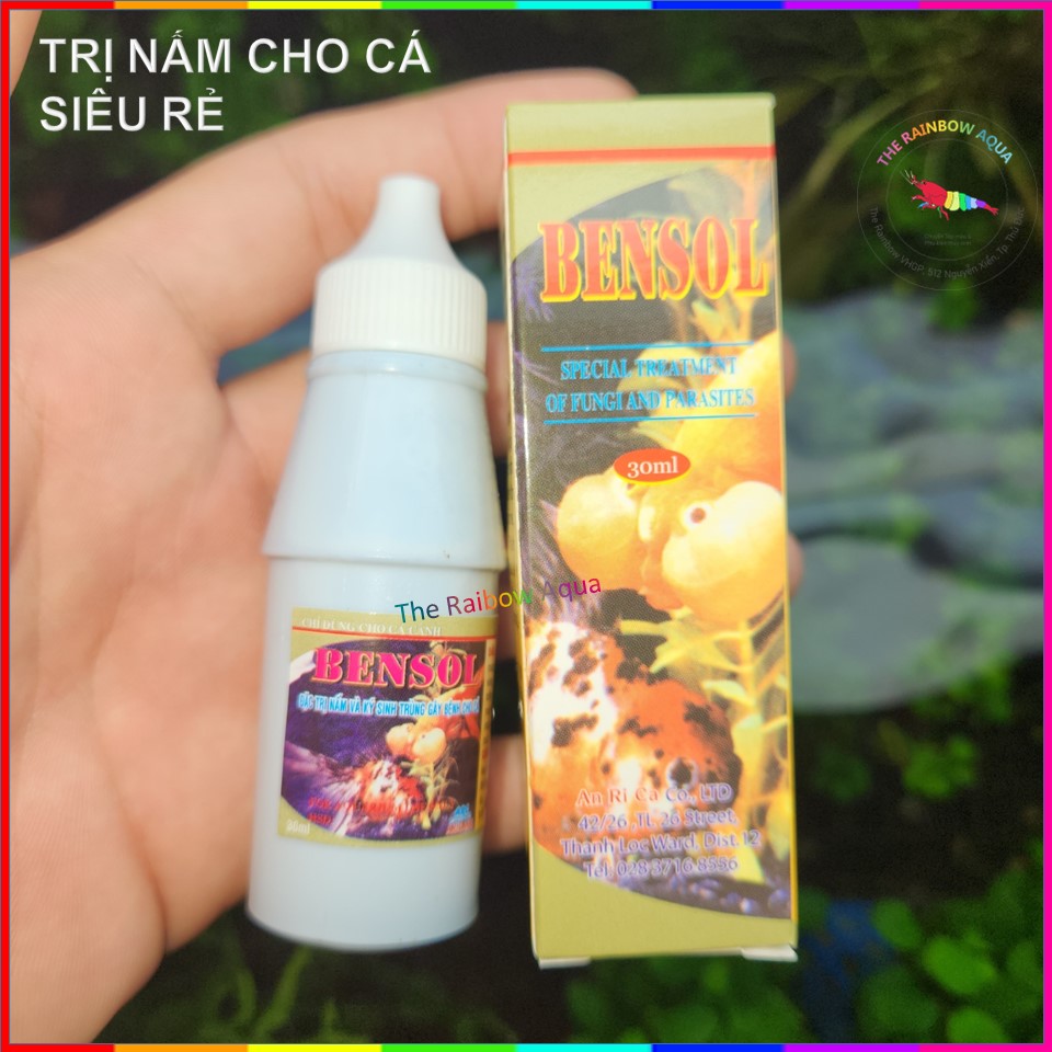 Bensol trị nấm và ký sinh trùng cho cá cảnh