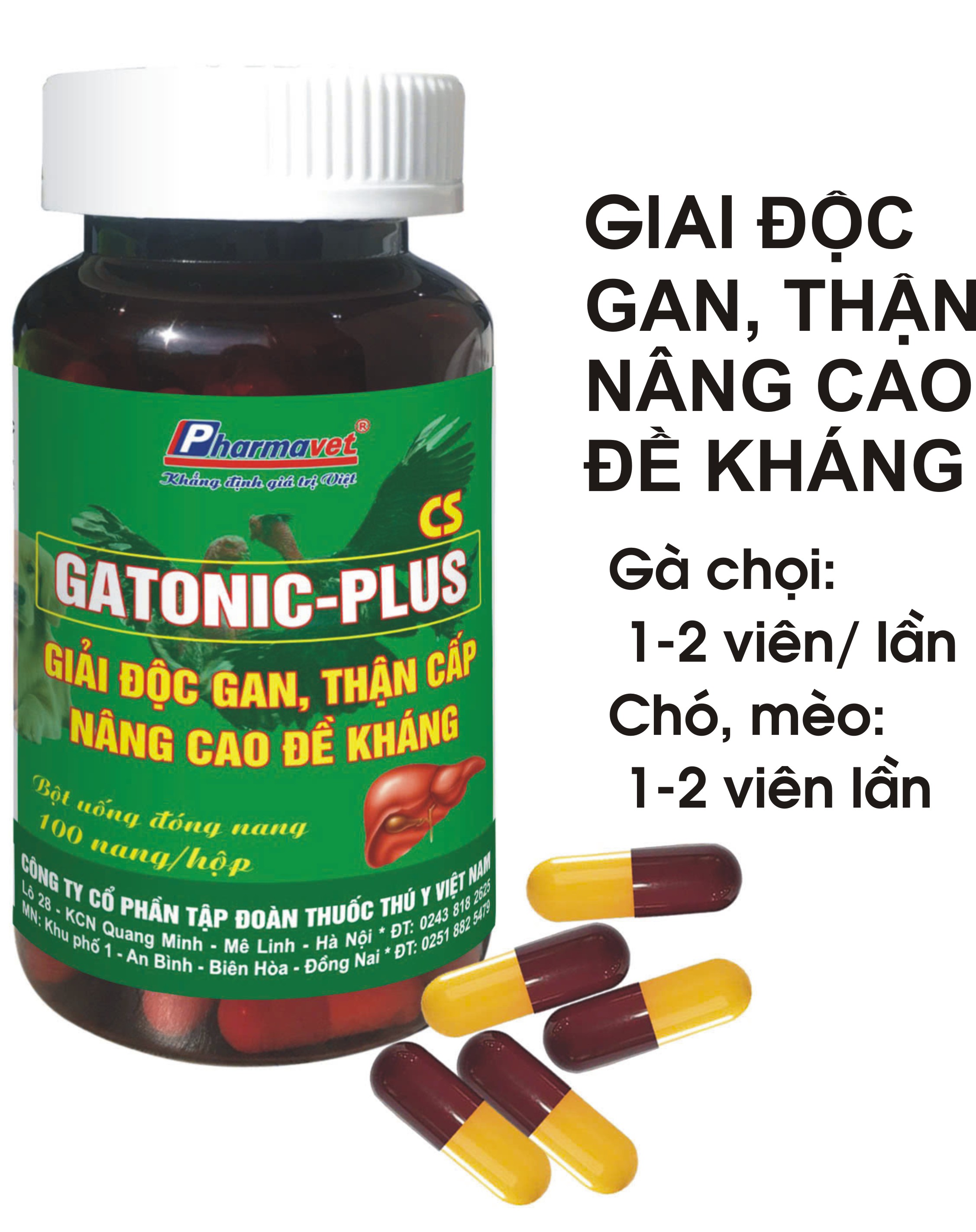 GATONIC-PLUS CS (Hộp 100 viên). Giải độc Gan, Thận cấp, tăng đề kháng, miễn dịch cho vật nuôi