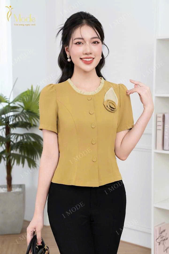 Áo kiêu công b088 duyên dáng thanh lich