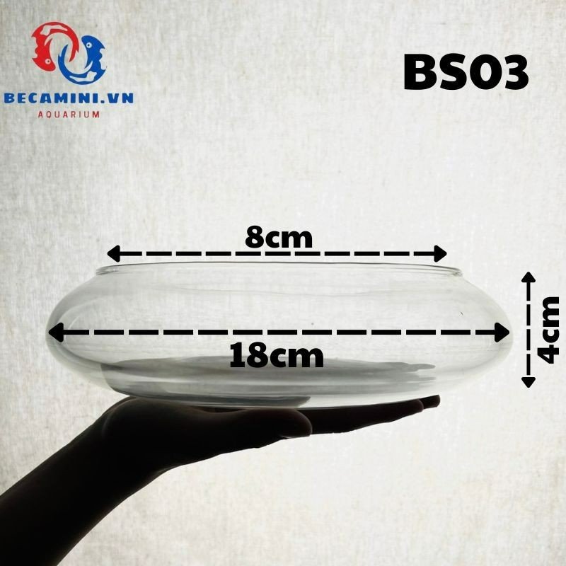 Bể cá mini - hồ cá tròn - bể cá bonsai thấp BS03 bonsai