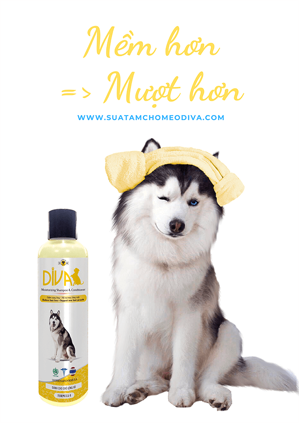 [HCM]Sữa tắm DIVA cho Chó Mèo giảm rụng lông 260ml [màu vàng]