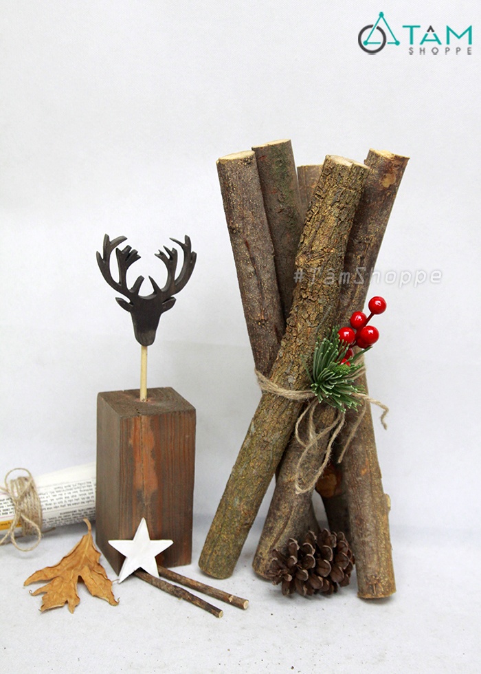 [HCM]Khúc Củi Khô Trang Trí Dài 40Cm Ngẫu Nhiên W-Cui-06 - Xzcvb N