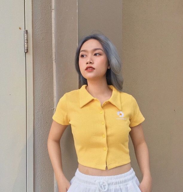 Áo thun croptop cổ bẻ - áo croptop cổ đức - áo croptop thun borip thêu hoa cúc cá tính at57