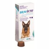 Thuốc phòng trị ghẻ, rận tai, ve, bọ chét và viêm da trên chó: 1 viên BRAVECTO large