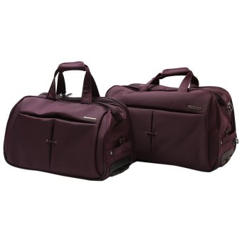 Bộ 2 túi du lịch chống sốc 20 inch và 16 inch Leavesking LV 8405 (Tím)  