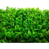 Bộ 10 tấm thảm cỏ thìa nhựa, thảm cỏ trang trí trong nhà