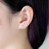 Bông tai nữ bạc 925 - chuỗi pha lê