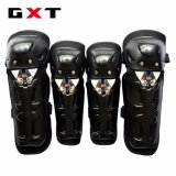 Giáp bảo hộ xe máy gxt