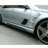 Hốc gió cánh cửa xe hơi (mang cá)