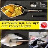 Kính Chiếu Hậu Rizoma Elisse - Kính Trái