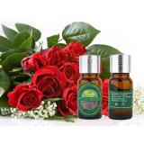 Lọ tinh dầu Aromatic World hoa hồng 10ml