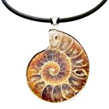 [HCM]Mặt dây chuyền ốc hóa thạch Gemstone Bank (Vàng)