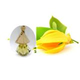 Tinh dầu hương ngọc lan tây - Treo Xe Hơi - 5ml