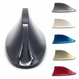 Vây cá mập anten - Xám lông chuột