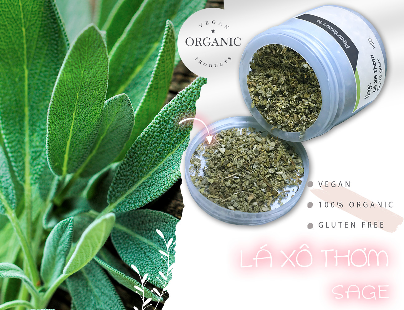 Lá xô thơm sage 10gr