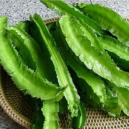 5Gram hạt giống đậu rồng