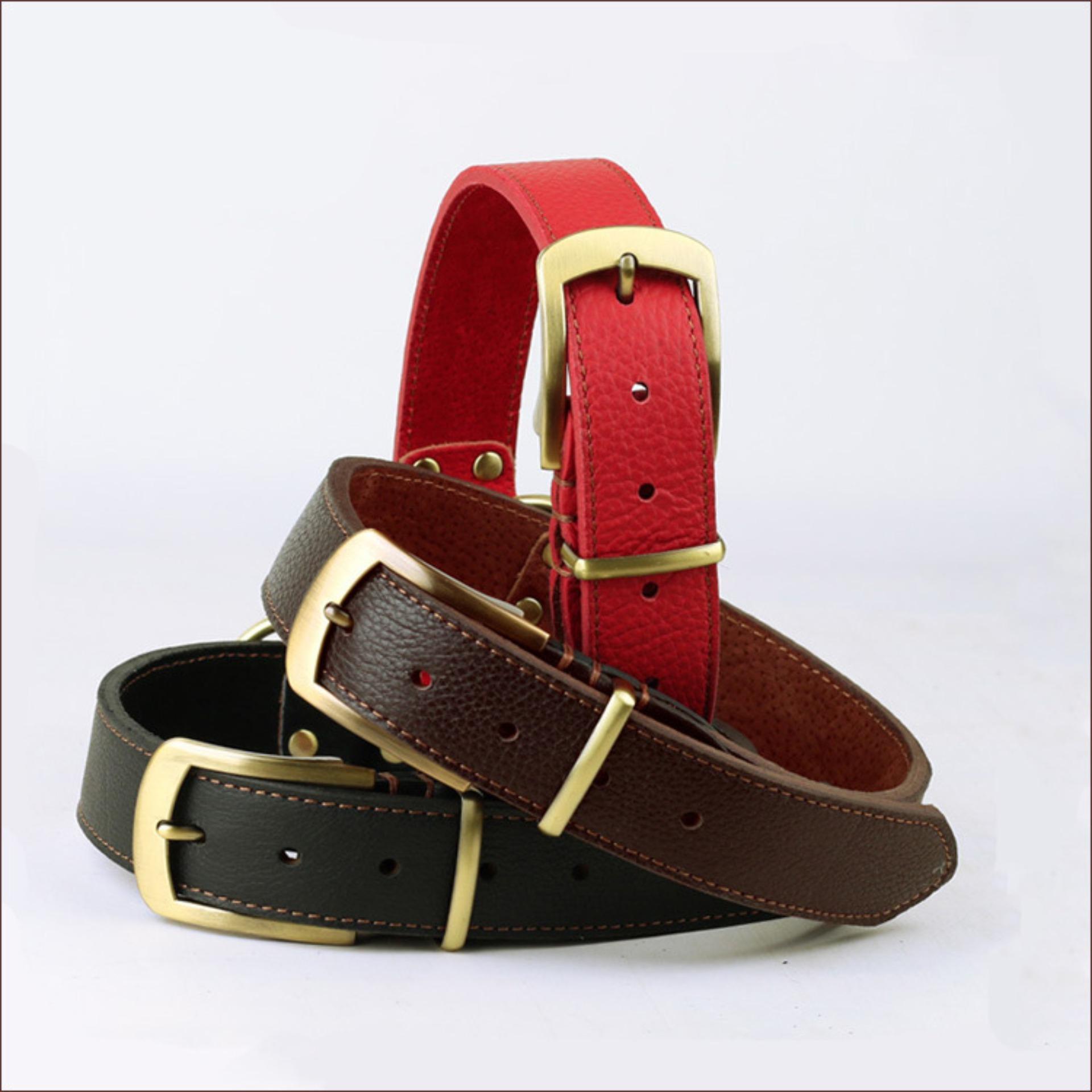 Vong Co Cho Chó Mèo, Vòng cổ cho thú cưng cao cấp, Chất liệu da bền đẹp chắc chắn, Tặng phiếu bảo hành 1 năm Toàn quốc