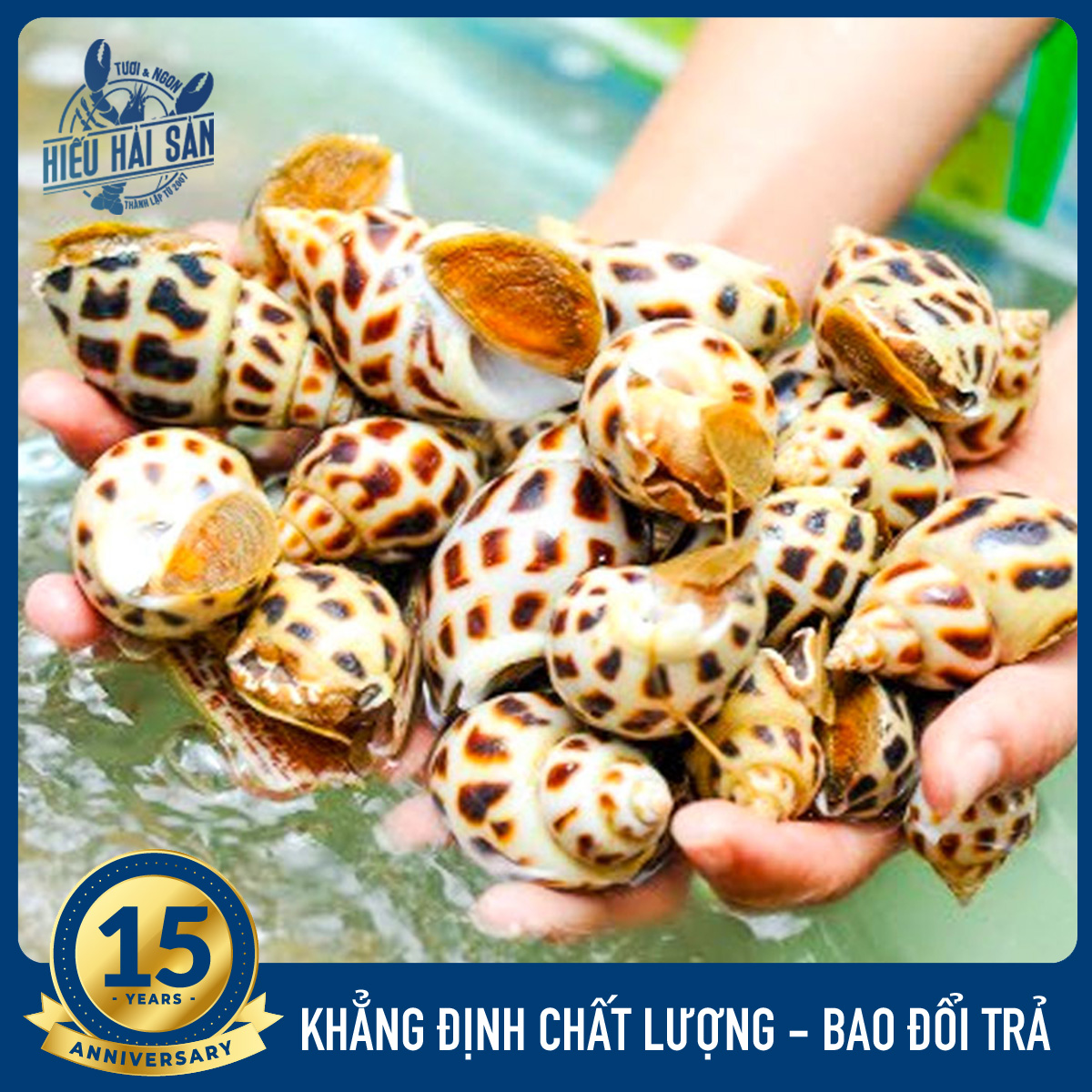 [Giao nhanh HCM] Ốc Hương loại I còn sống  (1kg)