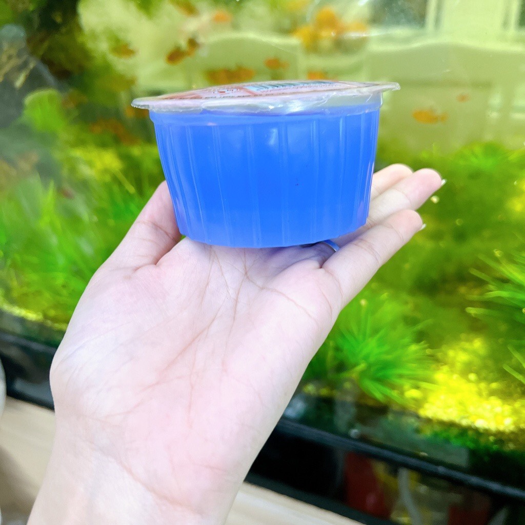 Cồn thạch-cồn khô